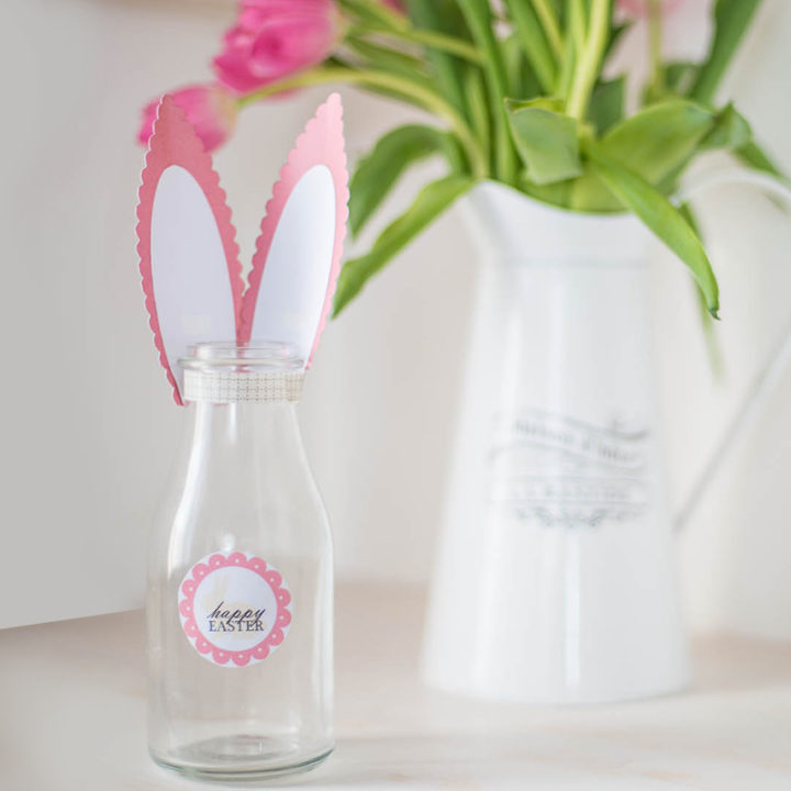 Mettiamo le orecchie