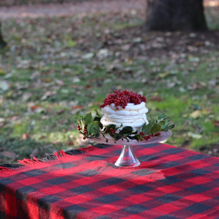 Pavlova in una mattina di pensieri