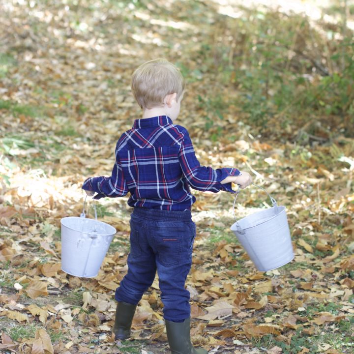 I colori dell’autunno per Sebastiano